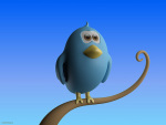 CreativeTools.se - Twitter bird standing on branch - Close-up by Creative Tools, on Flickr