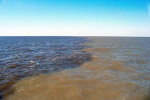 Gulf of Mexico Dead Zone