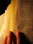 6: bible nerd